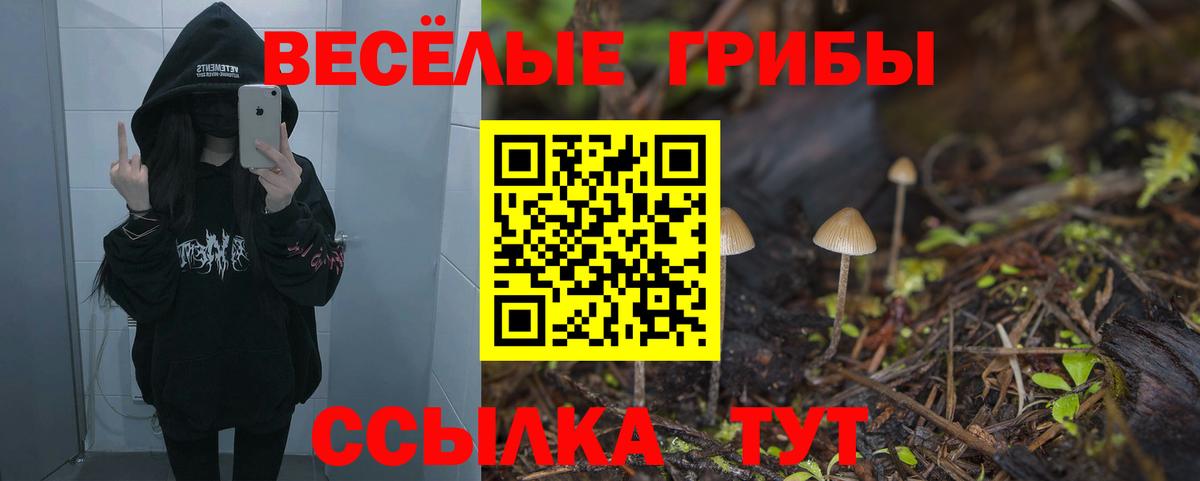 Галлюциногенные грибы Cubensis  Вход с VPN  Красноярск 